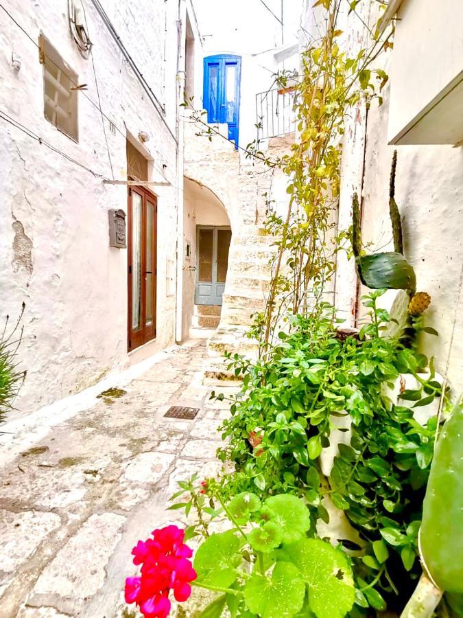 White Stone- La Terrazza Villa Ostuni Dış mekan fotoğraf